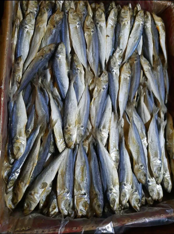 Ikan asin peda